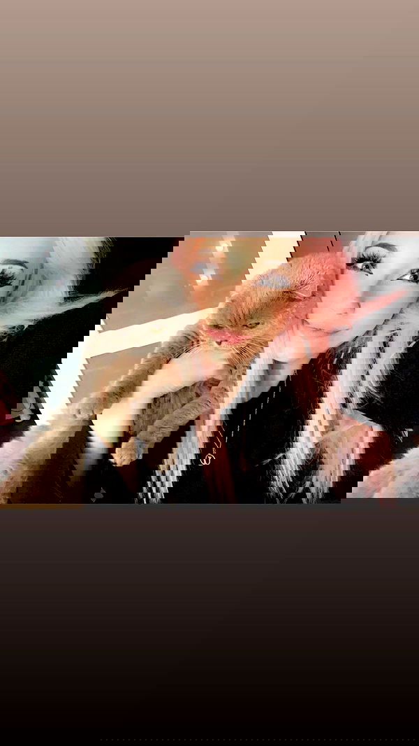 ira_dash_ image ~ Altpins