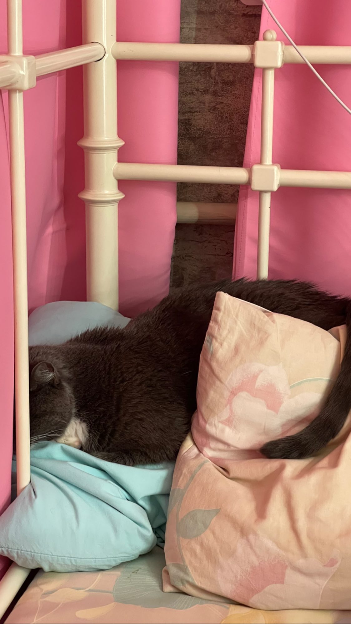 ira_dash_ instagram image archive image