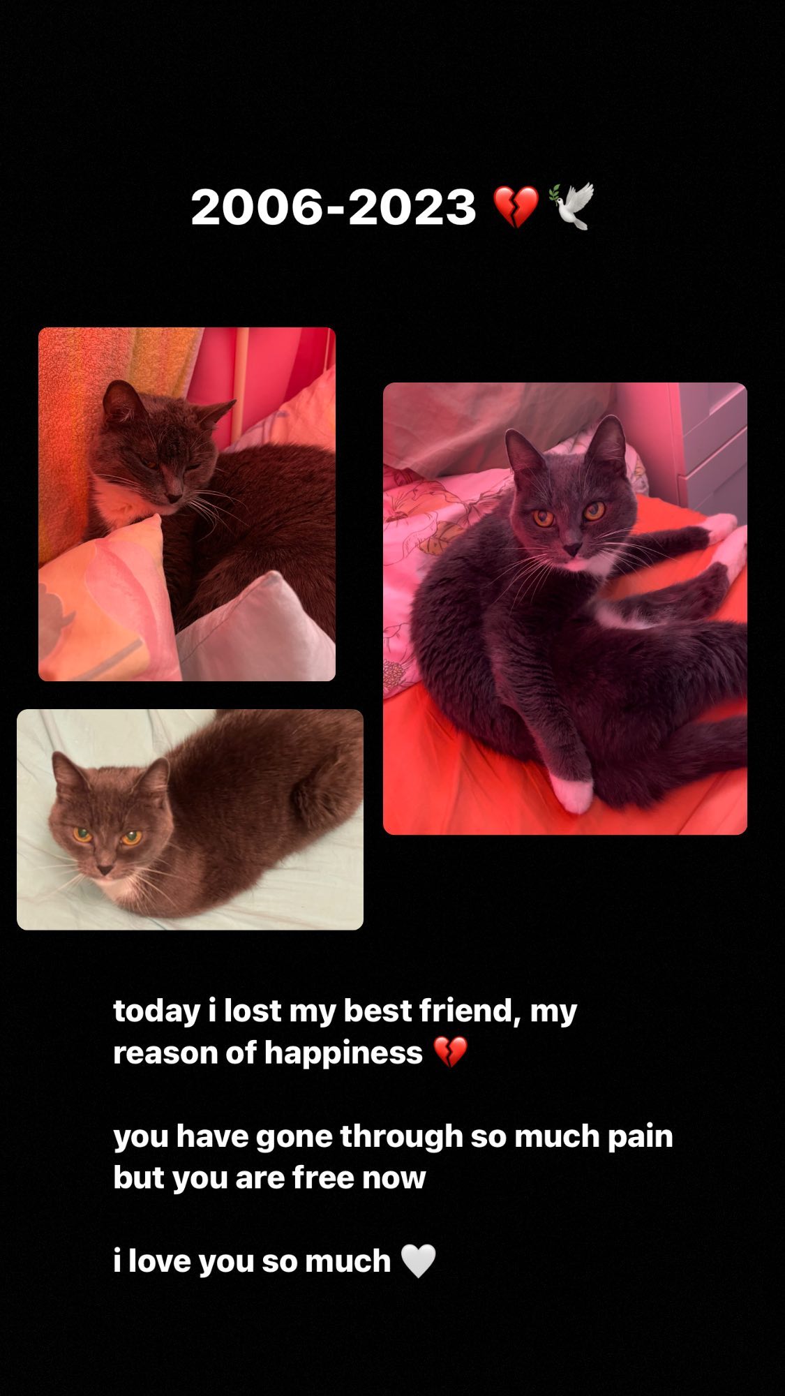 ira_dash_ instagram image archive image