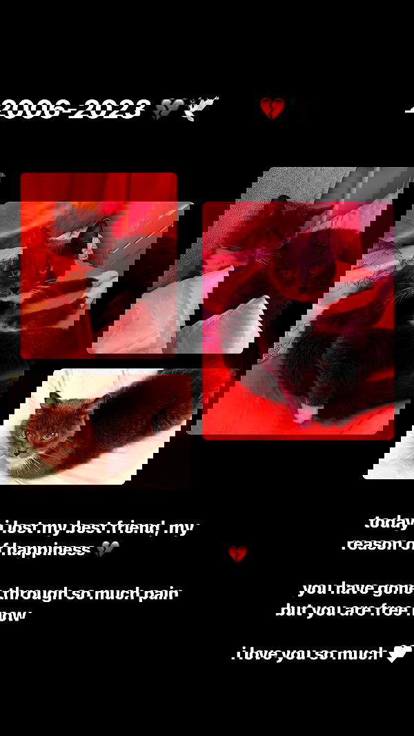 ira_dash_ image ~ Altpins