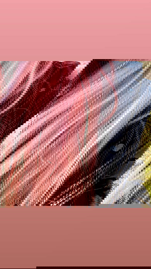 ira_dash_ image ~ Altpins