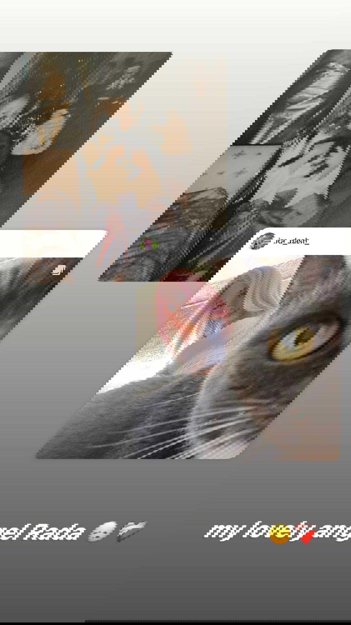 ira_dash_ instagram image archive image