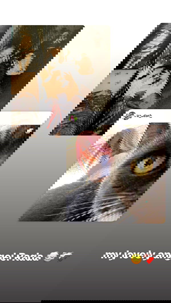 ira_dash_ image ~ Altpins