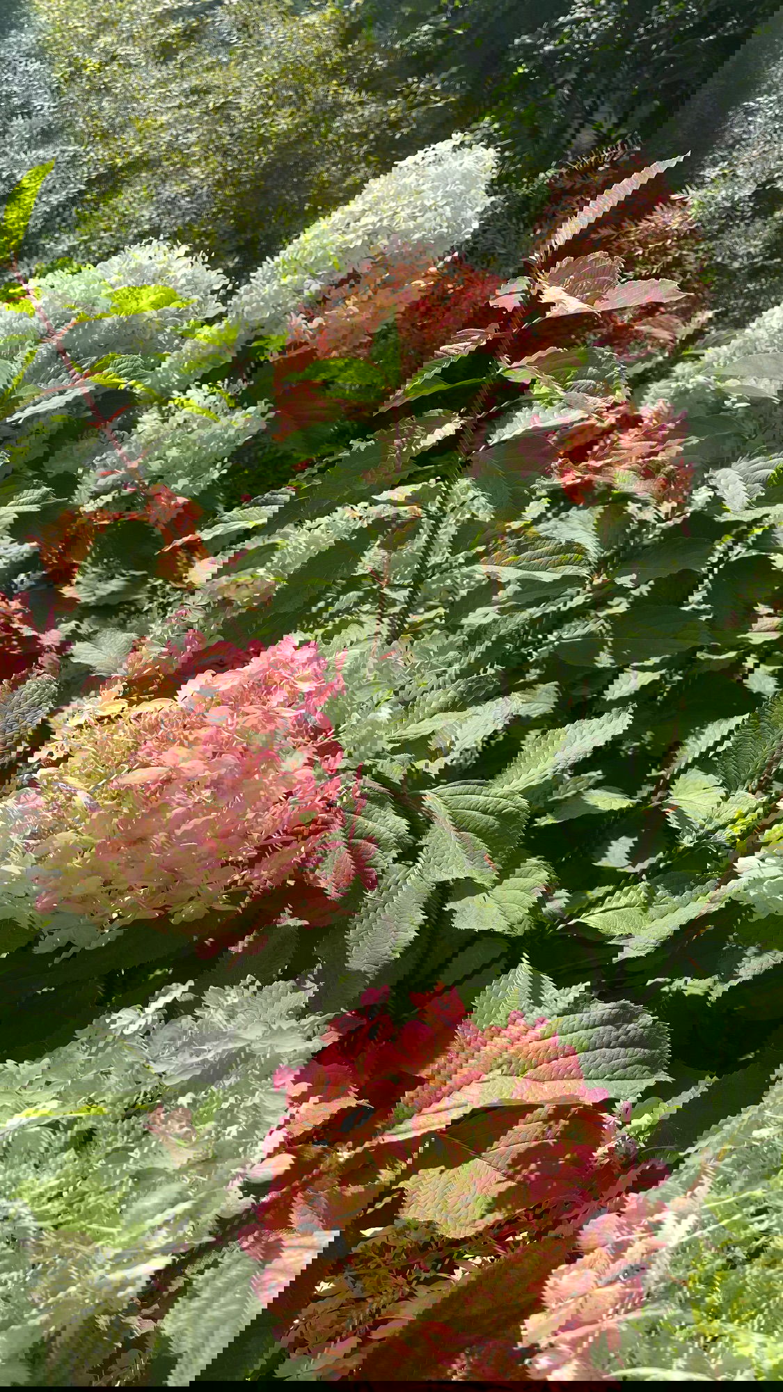 ira_dash_ instagram image archive image