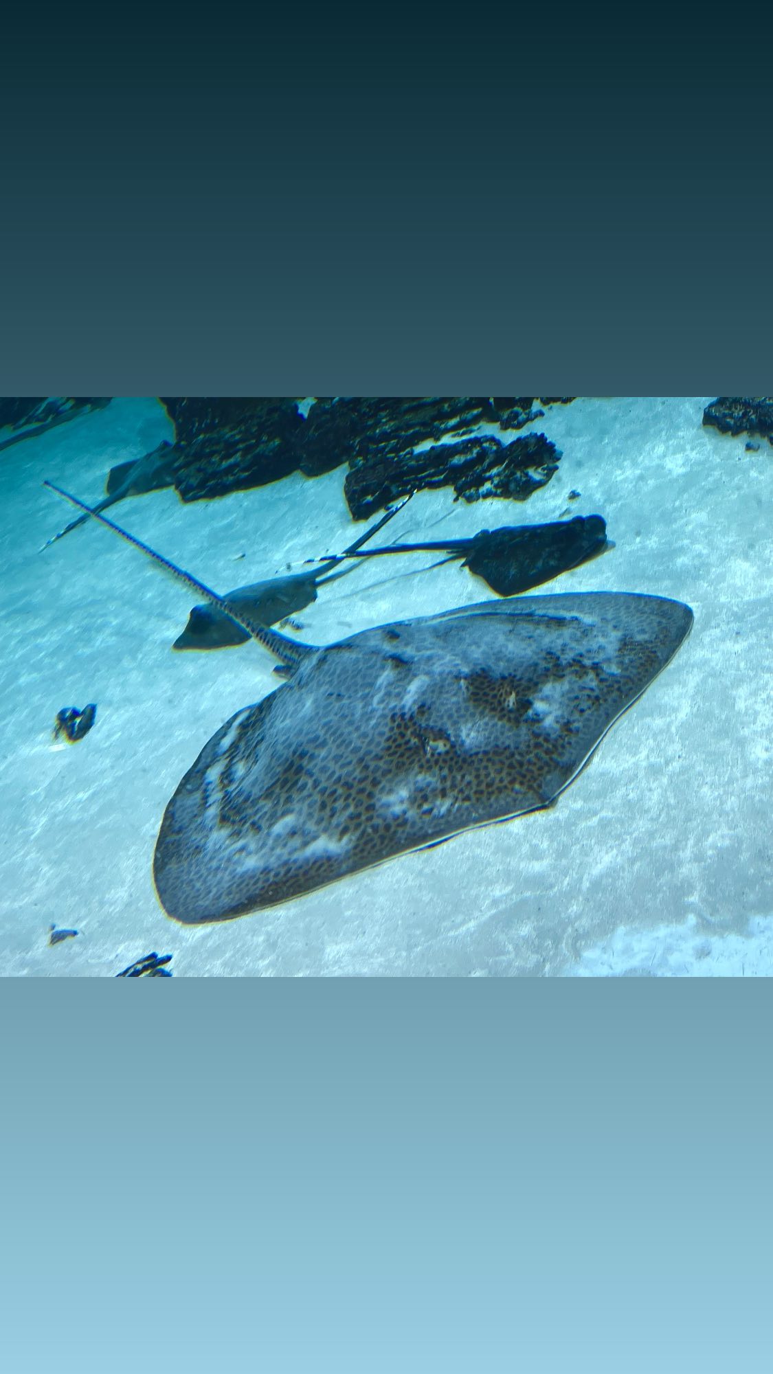 ira_dash_ instagram image archive image