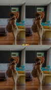 itay.basat Altpins Profile Picture