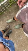 itshollynewton Altpins Profile Picture
