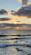 itshollynewton Altpins Profile Picture