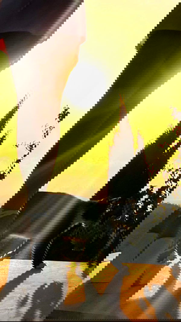 itsilanosh itsilanosh archive image