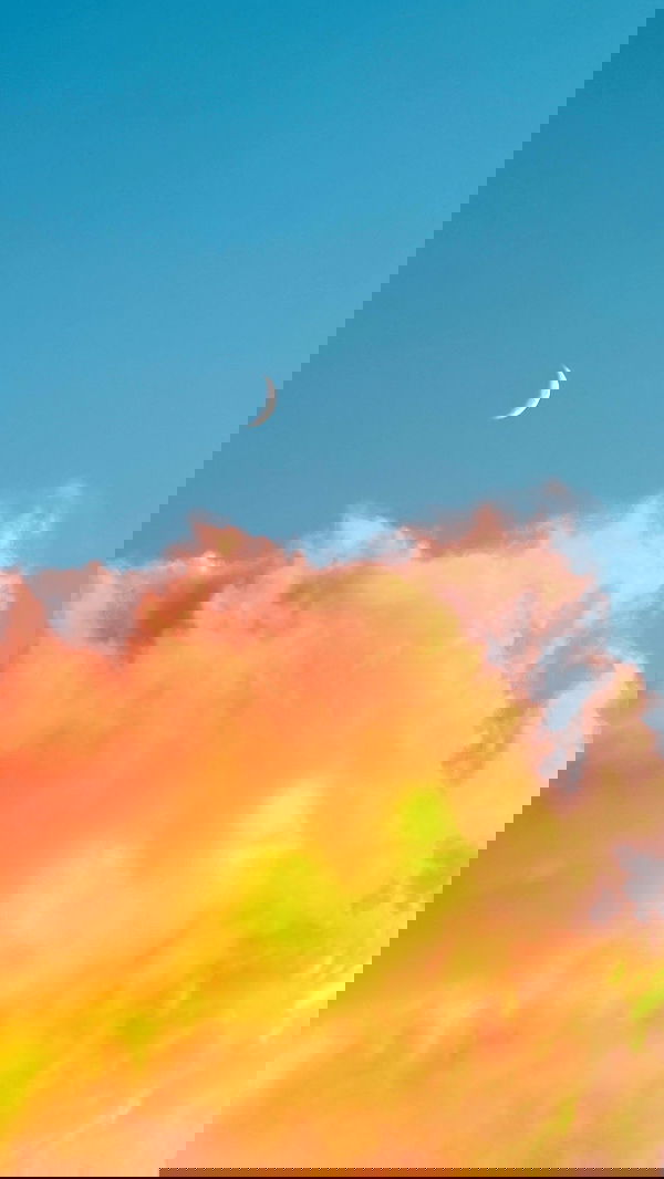 itsilanosh itsilanosh archive image