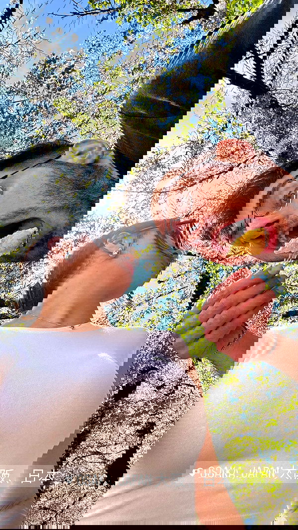 itsilanosh itsilanosh archive image