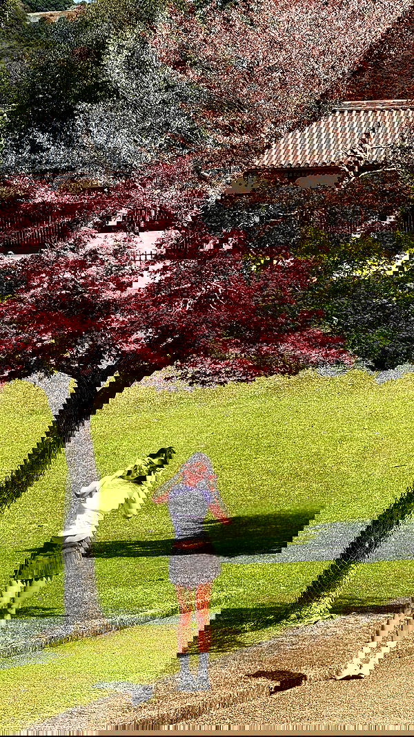 itsilanosh itsilanosh archive image