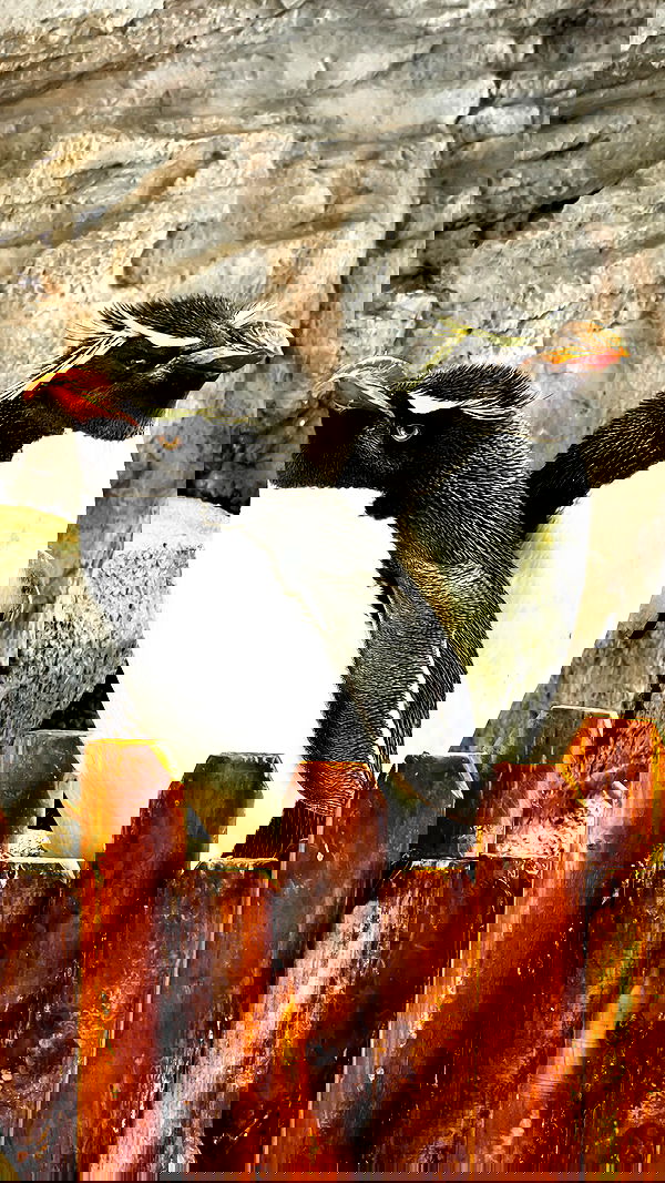 itsilanosh itsilanosh archive image