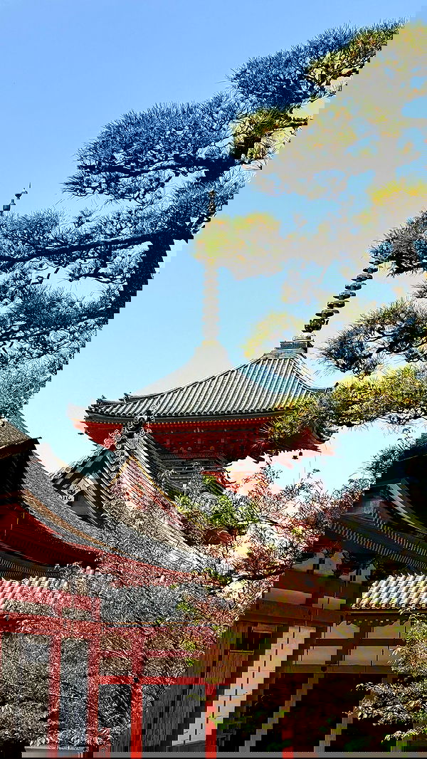 itsilanosh itsilanosh archive image