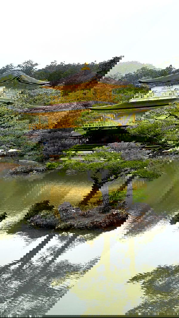 itsilanosh itsilanosh archive image