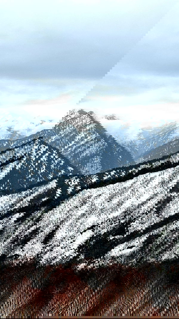 itsilanosh itsilanosh archive image