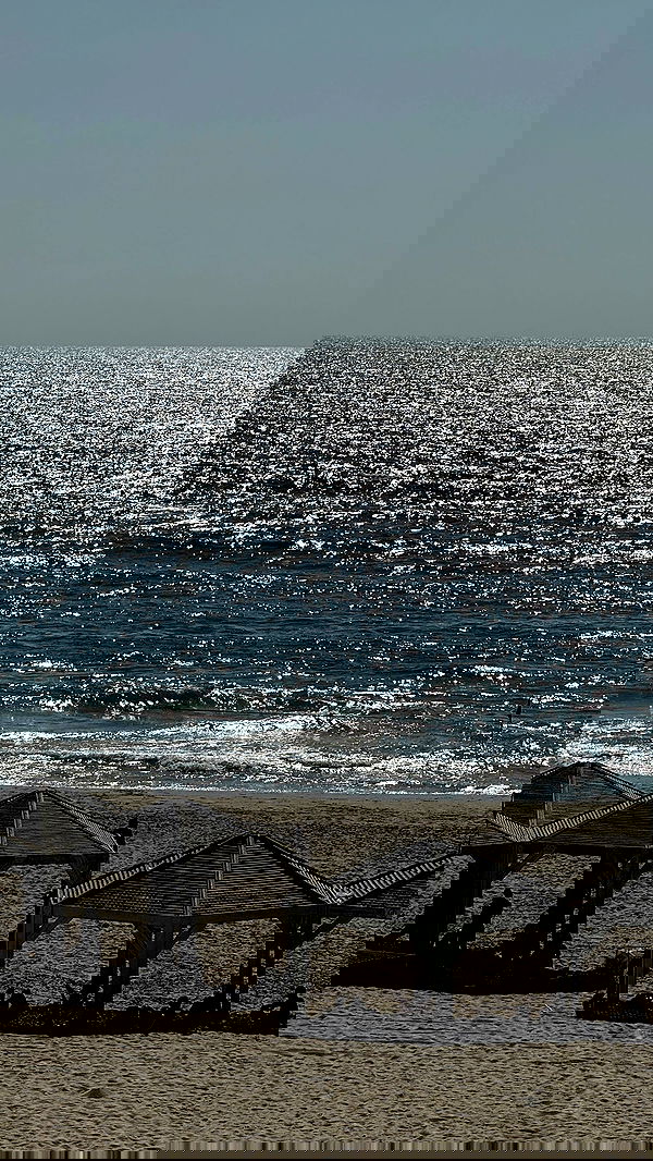 itsilanosh itsilanosh archive image