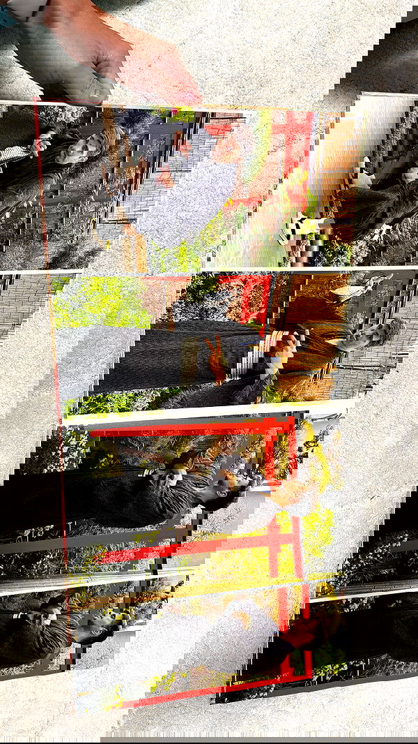 itsilanosh itsilanosh archive image