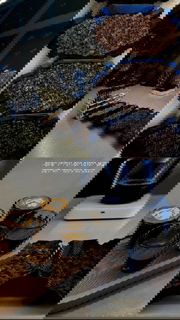 itsilanosh itsilanosh archive image