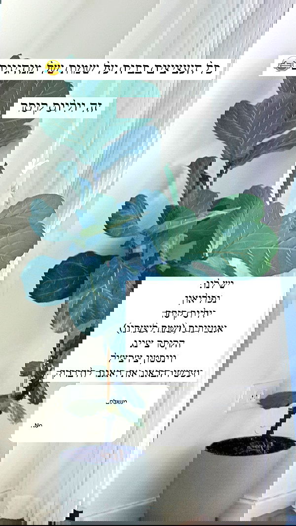 itsilanosh itsilanosh archive image