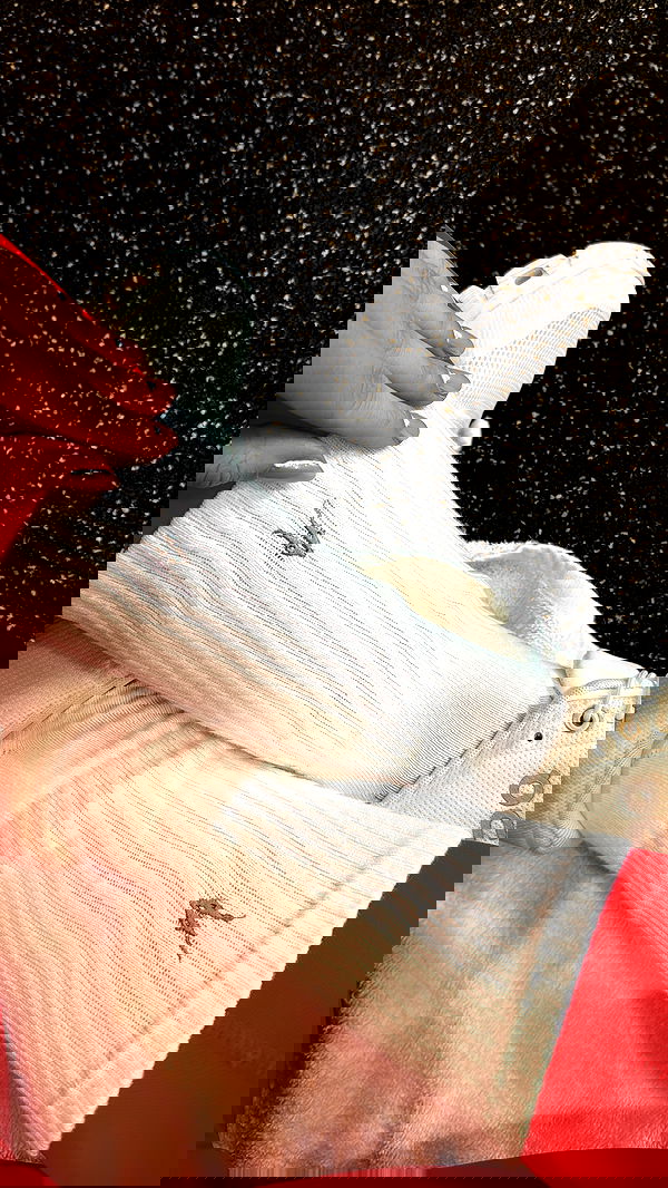 itsilanosh itsilanosh archive image