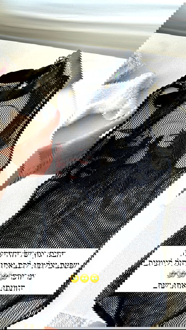 itsilanosh itsilanosh archive image