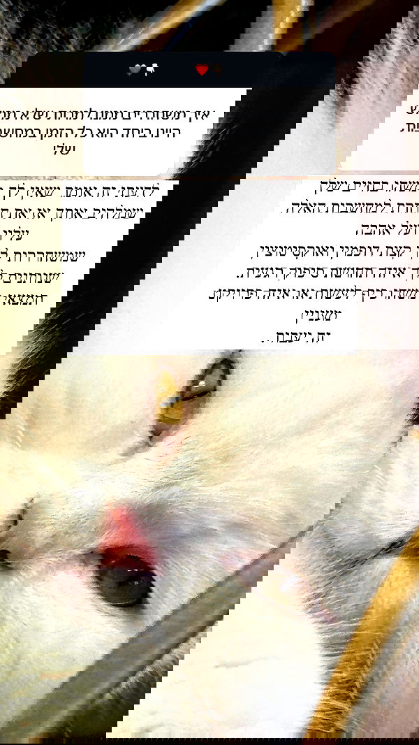 itsilanosh itsilanosh archive image