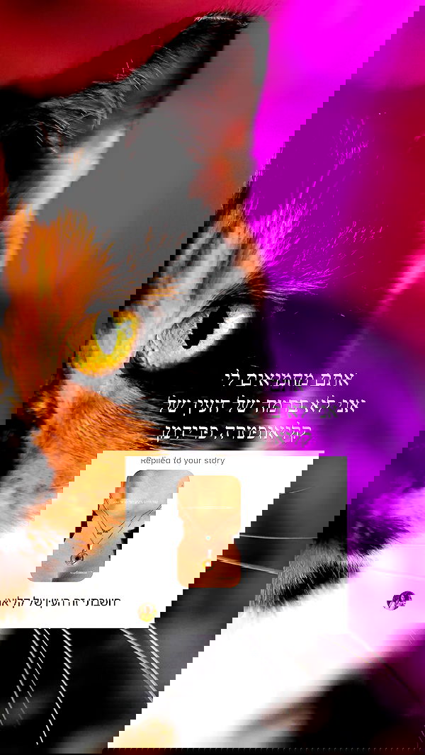 itsilanosh itsilanosh archive image