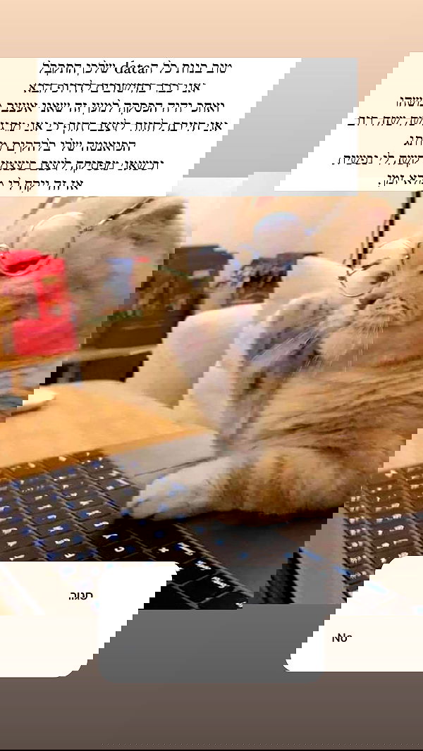 itsilanosh itsilanosh archive image