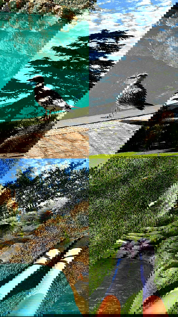 itsilanosh itsilanosh archive image