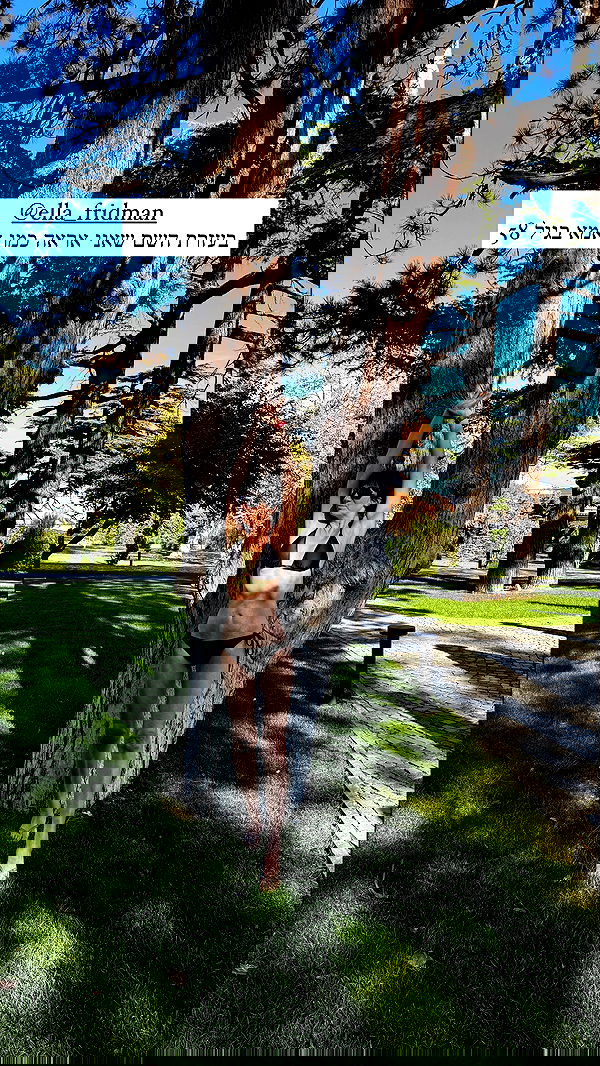 itsilanosh itsilanosh archive image