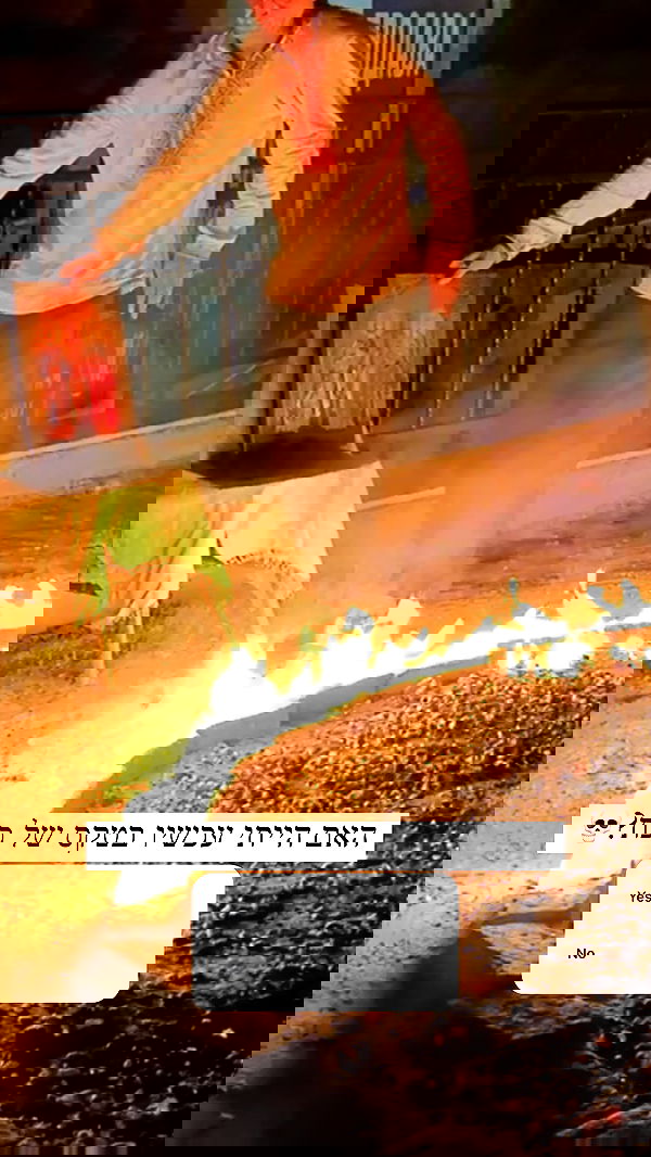 itsilanosh itsilanosh archive image