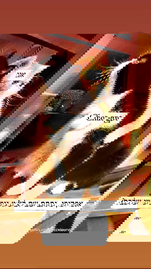 itsilanosh itsilanosh archive image