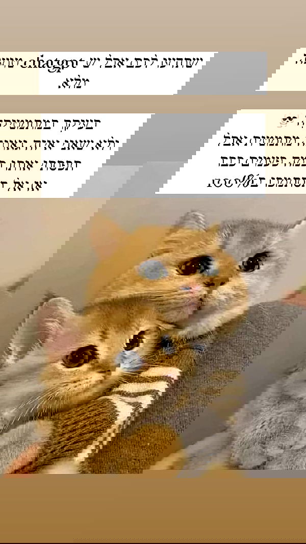 itsilanosh itsilanosh archive image