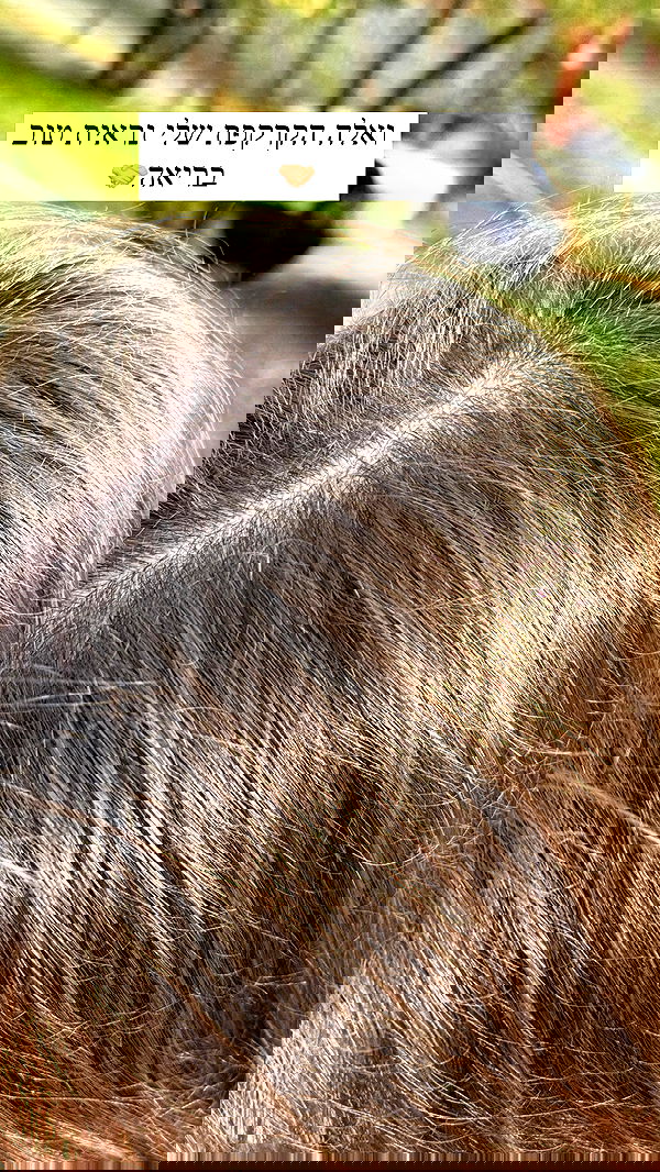 itsilanosh itsilanosh archive image