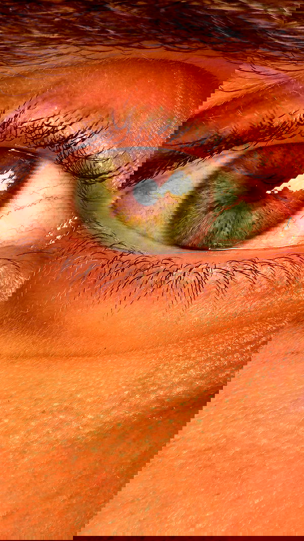 itsilanosh itsilanosh archive image