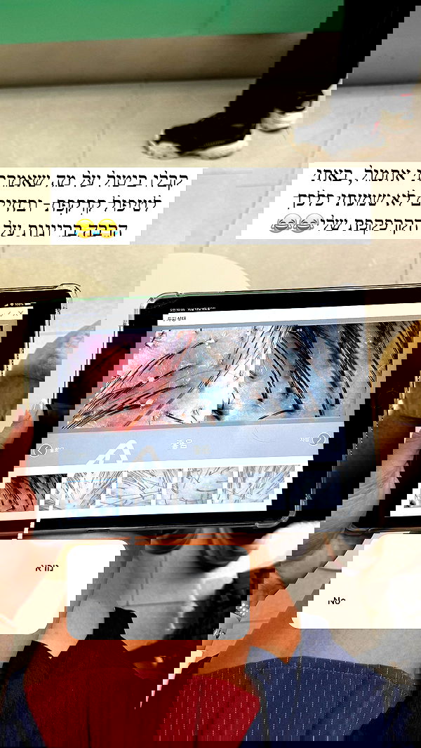 itsilanosh itsilanosh archive image