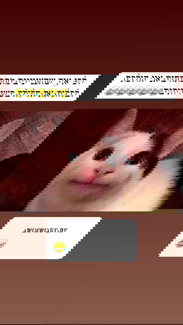 itsilanosh itsilanosh archive image