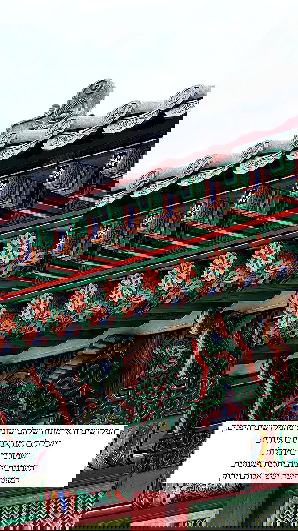 itsilanosh itsilanosh archive image