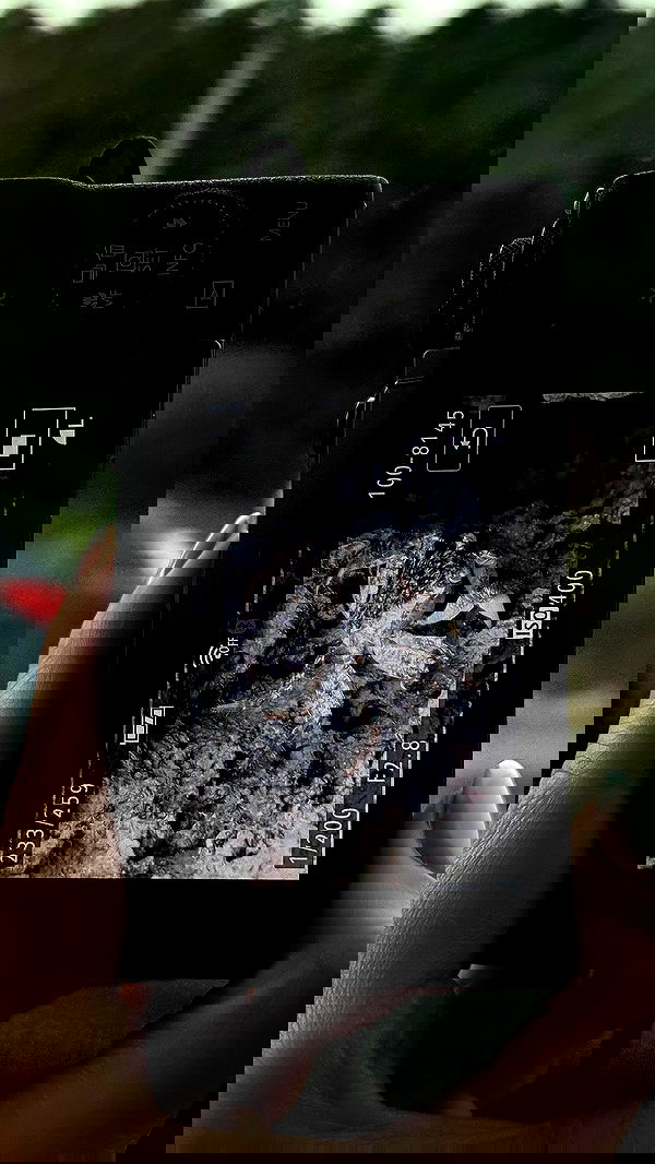 itsilanosh itsilanosh archive image