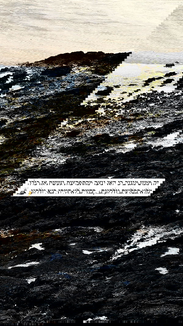 itsilanosh itsilanosh archive image