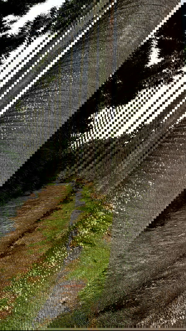 itsilanosh itsilanosh archive image