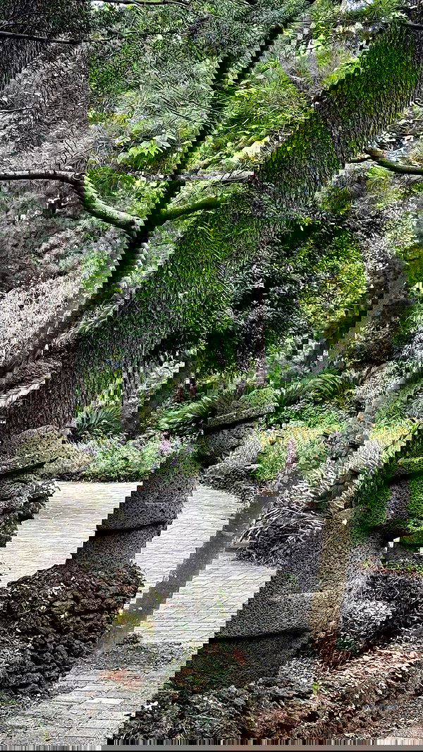 itsilanosh itsilanosh archive image