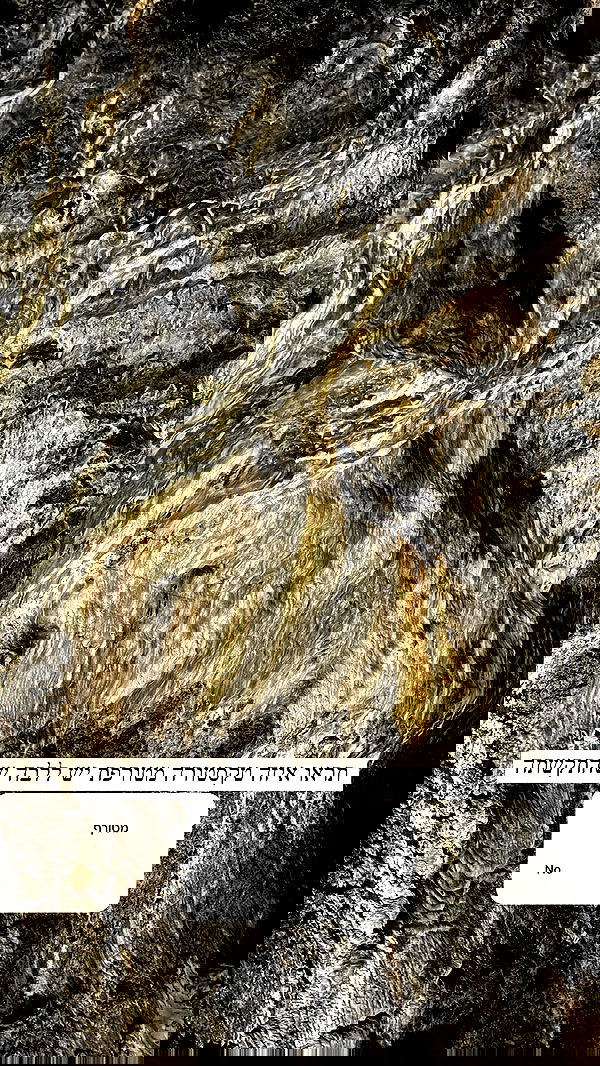 itsilanosh itsilanosh archive image