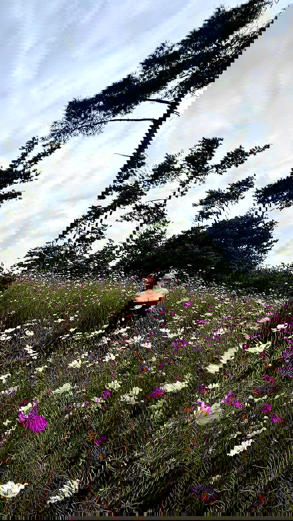 itsilanosh itsilanosh archive image