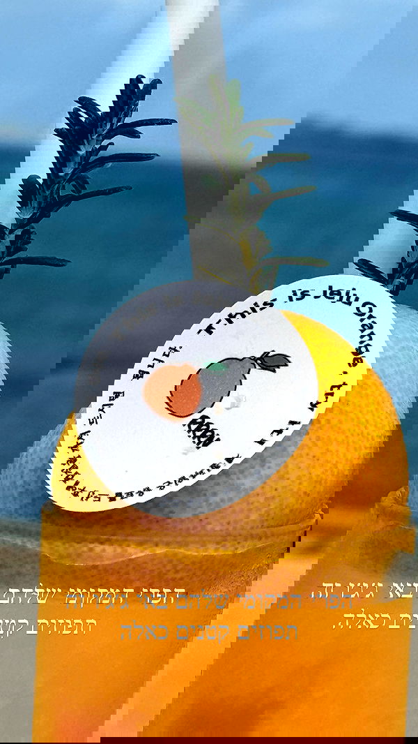 itsilanosh itsilanosh archive image