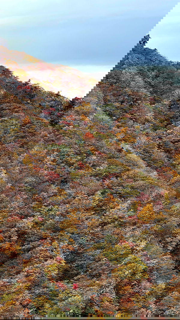 itsilanosh itsilanosh archive image