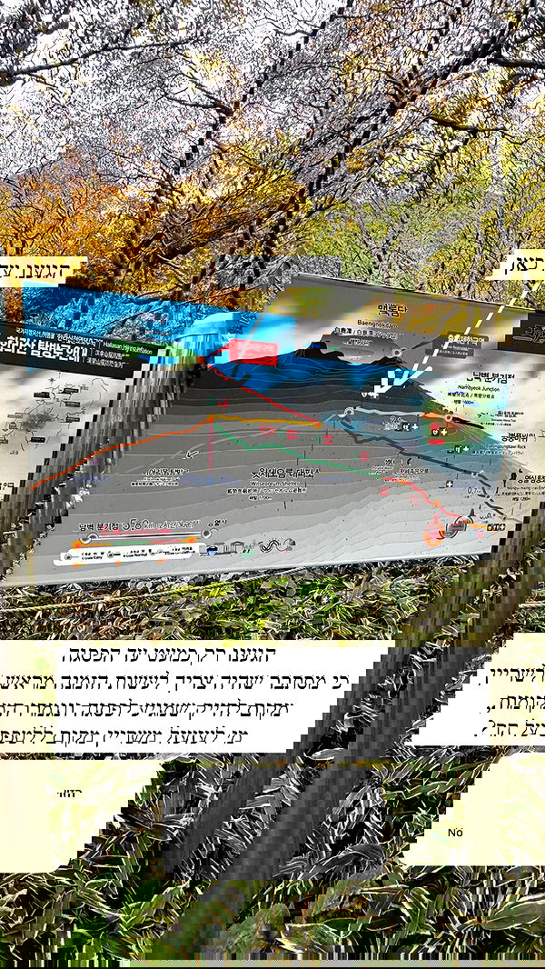 itsilanosh itsilanosh archive image