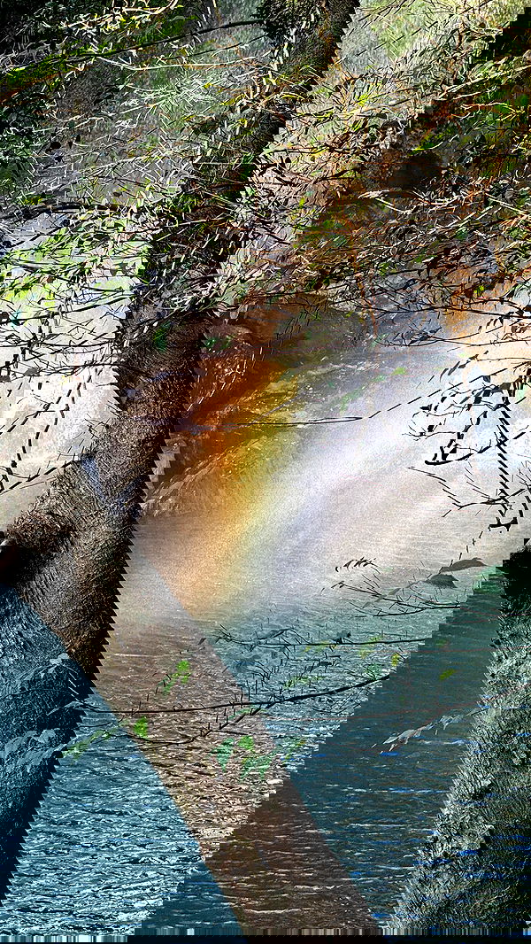 itsilanosh itsilanosh archive image