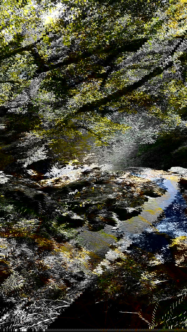 itsilanosh itsilanosh archive image